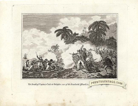 The death of Captain Cook at Owhyhee, on of the Sandwich Islands
